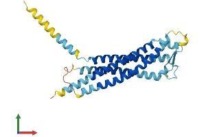 Protein Structure (PS) image for Glycoprotein M6B (GPM6B) (AA 1-265) protein (His tag) (ABIN7548058)