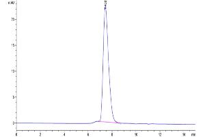 Size-exclusion chromatography-High Pressure Liquid Chromatography (SEC-HPLC) image for Killer Cell Immunoglobulin-Like Receptor, Two Domains, Long Cytoplasmic Tail, 1 (KIR2DL1) (AA 22-242) protein (His-Avi Tag) (ABIN7275084)