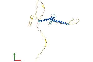 Protein Structure (PS) image for Achaete-Scute Complex Homolog 1 (Drosophila) (ASCL1) (AA 1-231) protein (His tag) (ABIN7556865)