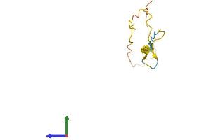 Protein Structure (PS) image for Family with Sequence Similarity 229, Member B (FAM229B) (AA 1-80) protein (Fc Tag) (ABIN7547584)