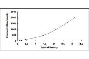 ELISA image for Coagulation Factor III (thromboplastin, Tissue Factor) (F3) ELISA Kit (ABIN431567)