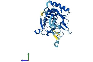 Protein Structure (PS) image for Radial Spoke Head 9 Homolog (RSPH9) (AA 1-276) protein (His tag) (ABIN7561191)