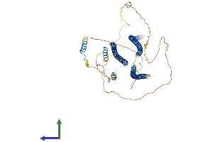 Protein Structure (PS) image for Shootin-1 (SHTN1) (AA 1-631) protein (His tag) (ABIN7564637)