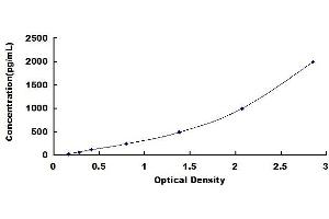 Typical standard curve (TIMP2 ELISA 试剂盒)