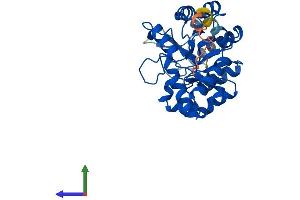 Protein Structure (PS) image for TatD DNase Domain Containing 3 (TATDN3) (AA 1-294) protein (His tag) (ABIN7557122)
