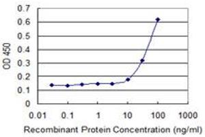 Detection limit for recombinant GST tagged HOXB9 is 3 ng/ml as a capture antibody. (HOXB9 抗体  (AA 65-163))