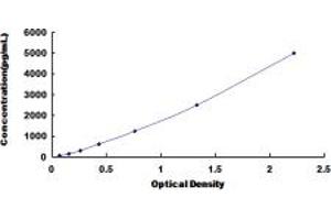 Typical standard curve (CrkL ELISA 试剂盒)