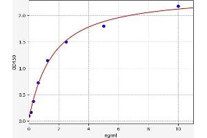 Typical standard curve (COL-13 ELISA 试剂盒)