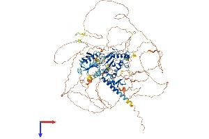 SENP6 Protein (AA 1-1132) (His tag)