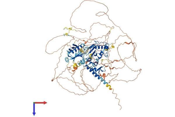 SENP6 Protein (AA 1-1132) (His tag)