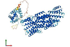 Protein Structure (PS) image for Anaphase Promoting Complex Subunit 5 (ANAPC5) (AA 1-740) protein (His tag) (ABIN7564427)