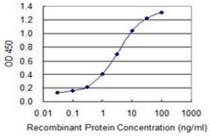 Detection limit for recombinant GST tagged SOX12 is 0. (SOX12 抗体  (AA 252-313))