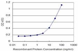 Detection limit for recombinant GST tagged LHX5 is approximately 1ng/ml as a capture antibody. (LHX5 抗体  (AA 114-182))
