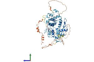 Protein Structure (PS) image for Zinc Finger Protein 34 (ZNF34) (AA 1-560) protein (His tag) (ABIN7545852)