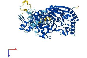 POLE2 Protein (AA 1-527) (His tag)
