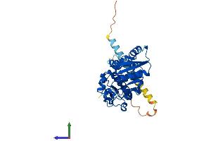 AlphaFold protein structure predicition of Mouse Recombinant Fut2 Protein, UniprotID Q9JL27 (FUT2 Protein (AA 1-347) (His tag))