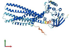 Protein Structure (PS) image for ATP-Binding Cassette, Sub-Family D (Ald), Member 4 (ABCD4) (AA 1-606) protein (His tag) (ABIN7551736)