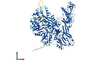 AlphaFold protein structure predicition of Human Recombinant POLR2B Protein, UniprotID P30876