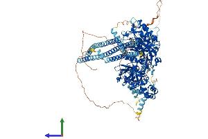Protein Structure (PS) image for phospholipase C beta 2 (PLCb2) (AA 1-1181) protein (His tag) (ABIN7561991)