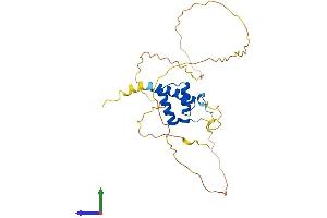 Protein Structure (PS) image for Homeobox B5 (HOXB5) (AA 1-269) protein (His tag) (ABIN7562772)