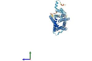 Protein Structure (PS) image for Solute Carrier Family 35, Member E4 (SLC35E4) (AA 1-350) protein (His tag) (ABIN7545899)