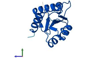 AlphaFold protein structure predicition of Mouse Recombinant Snu13 Protein, UniprotID Q9D0T1