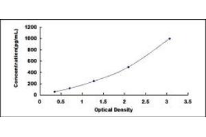 Typical standard curve (FAM3A ELISA 试剂盒)