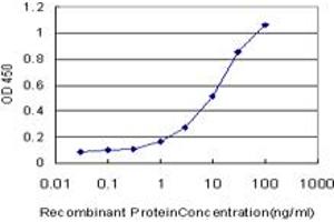 Detection limit for recombinant GST tagged NHLH2 is approximately 0. (NHLH2 抗体  (AA 36-135))