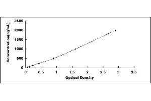 Typical standard curve (CCR3 ELISA 试剂盒)