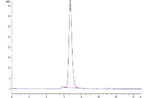 Size-exclusion chromatography-High Pressure Liquid Chromatography (SEC-HPLC) image for Interferon alpha (IFNA) (AA 28-436) protein (His-Avi Tag,Biotin) (ABIN7274850)