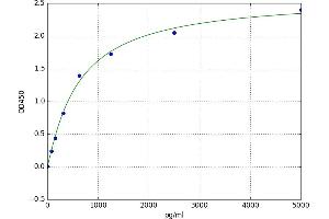 A typical standard curve