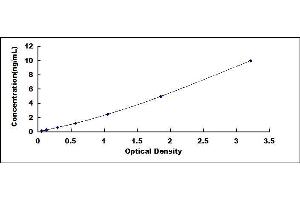 Typical standard curve (NEK7 ELISA 试剂盒)