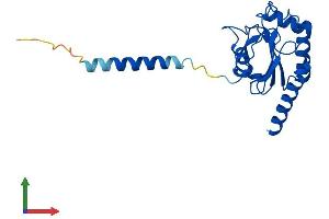 Protein Structure (PS) image for Glutathione Peroxidase 8 (GPX8) (AA 1-209) protein (His tag) (ABIN7561077)