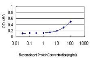 Detection limit for recombinant GST tagged AKT1 is approximately 1ng/ml as a capture antibody. (AKT1 抗体  (AA 1-480))