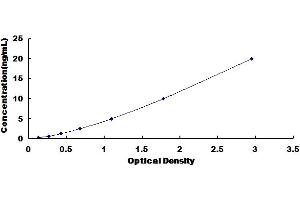 Runt-Related Transcription Factor 2 (RUNX2) ELISA Kit