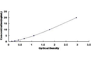 Typical Standard Curve for Mouse RUNX2 ELISA.
