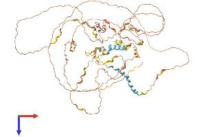 GGN Protein (AA 1-673) (His tag)