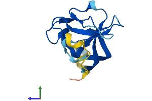 Protein Structure (PS) image for RAB Interacting Factor (RABIF) (AA 1-123) protein (His tag) (ABIN7560078)