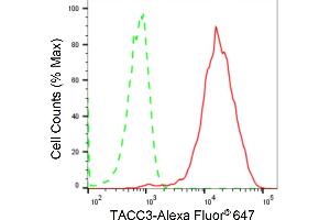 Flow cytometric analysis of TACC3 expression in HAP-1 cells using TACC3 antibody (ABIN7800606), 1:2,000). (Recombinant TACC3 抗体)
