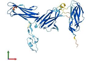 AlphaFold protein structure predicition of Mouse Recombinant Trappc13 Protein, UniprotID Q3TIR1