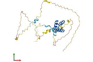 AlphaFold protein structure predicition of Human Recombinant NKX6-3 Protein, UniprotID A6NJ46 (NK6 Homeobox 3 Protein (NKX6-3) (AA 1-265) (His tag))