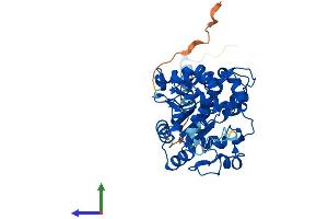 Protein Structure (PS) image for Carbohydrate (N-Acetylglucosamine 6-O) Sulfotransferase 5 (CHST5) (AA 1-395) protein (His tag) (ABIN7561726)