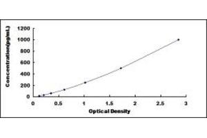 Typical standard curve (IGFBP5 ELISA 试剂盒)