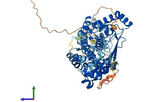 Protein Structure (PS) image for Lysophosphatidylcholine Acyltransferase 1 (LPCAT1) (AA 1-534) protein (His tag) (ABIN7554886)