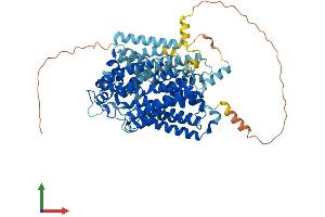Protein Structure (PS) image for Solute Carrier Family 5 (Sodium/glucose Cotransporter), Member 9 (SLC5A9) (AA 1-685) protein (His tag) (ABIN7559871)