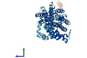 Protein Structure (PS) image for Solute Carrier Family 7 (Cationic Amino Acid Transporter, Y+ System), Member 9 (SLC7A9) (AA 1-487) protein (His tag) (ABIN7561741)