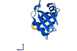 AlphaFold protein structure predicition of Mouse Recombinant Phpt1 Protein, UniprotID Q9DAK9