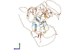 Protein Structure (PS) image for Sp3 Transcription Factor (Sp3) (AA 1-783) protein (His tag) (ABIN7562556)
