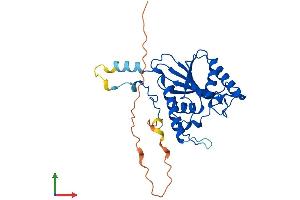 AlphaFold protein structure predicition of Mouse Recombinant Pgam5 Protein, UniprotID Q8BX10