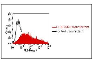 FACS analysis of BOSC23 cells using 4/3/17. (CEACAM1/5 抗体)